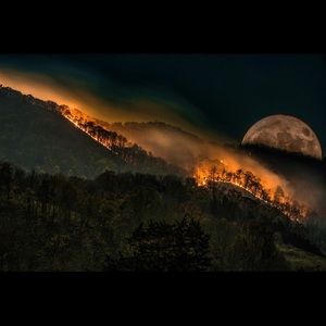 Meet your Posher, Tj