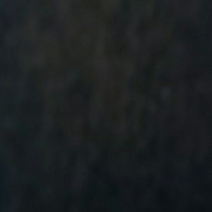 Meet your Posher, Abigail