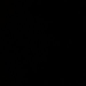 Meet your Posher, Ross