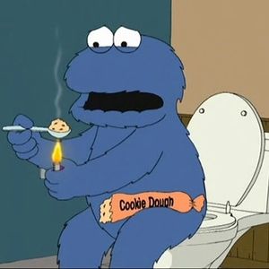 Meet your Posher, Bruce