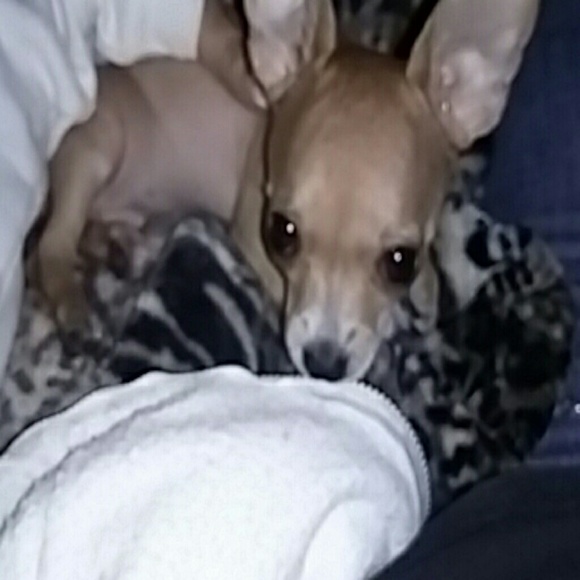 Meet your Posher, Alexandrea - Picture 1 of 1