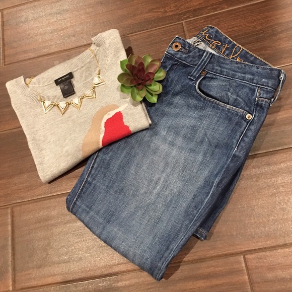 Ann Taylor Cute Little Bird Sweater