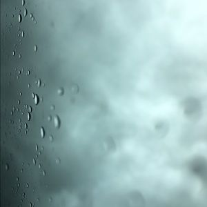 Meet your Posher, Emilee