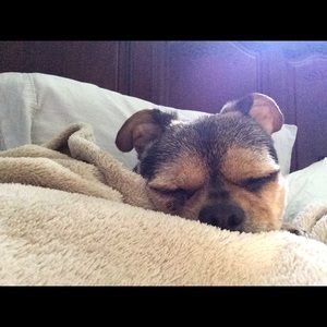 Meet your Posher, Tamie