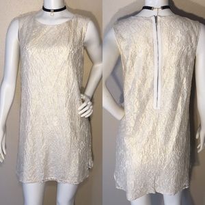 ✨Golden ✨Lace Dress/Tunic Seed  Zip Up!