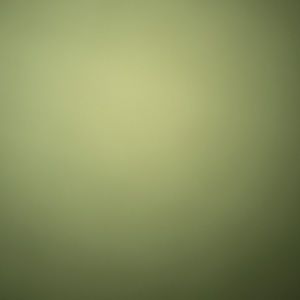 Meet your Posher, Sophia