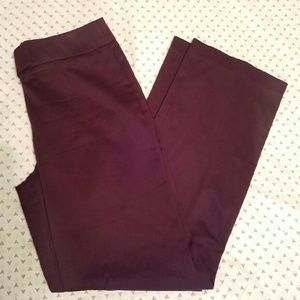 Stylish NY & Co Straight Leg Maroon Pants