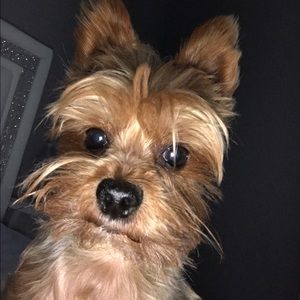 Meet your Posher, Milena