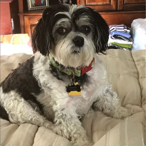 Meet your Posher, Terri - Picture 3 of 5