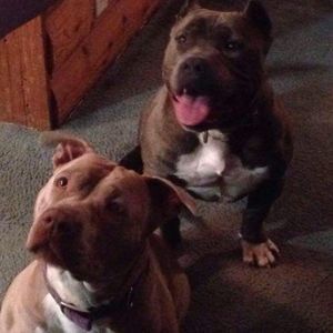 Meet your Posher, Marcus