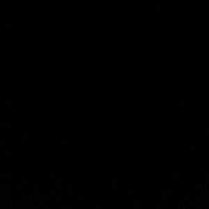 Meet your Posher, Ariane