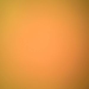 Meet your Posher, Damian