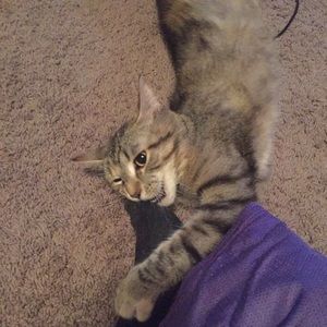 Meet your Posher, Connor