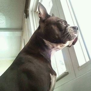 Meet your Posher, Karin