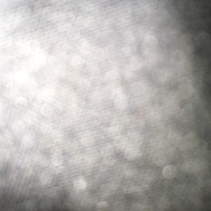 Meet your Posher, Riccarda