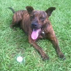 Meet your Posher, Aaliyah