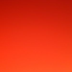 Meet your Posher, Davionna