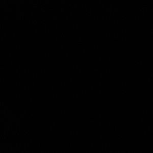 Meet your Posher, Odalys