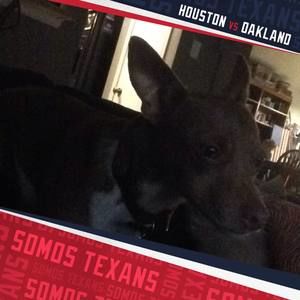 Meet your Posher, Dana