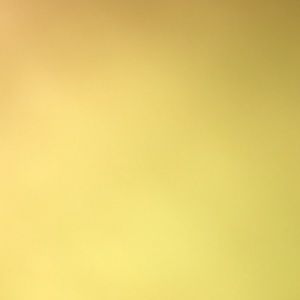 Meet your Posher, Sherry