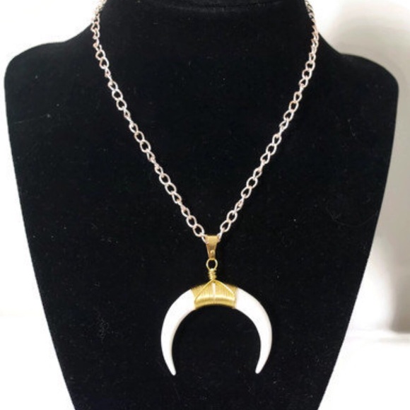 Horn pendant choker