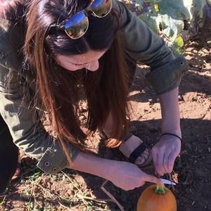 Meet your Posher, Taylor