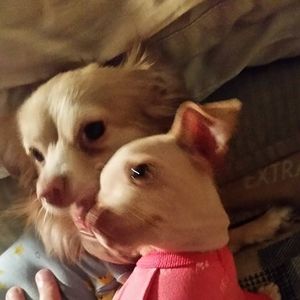 Meet your Posher, Tammy