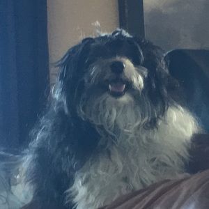 Meet your Posher, Hope