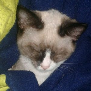 Meet your Posher, Rebecca