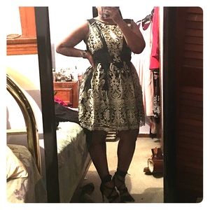 Nordstrom ASTR dress