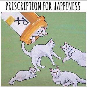 Meet your Posher, Raven