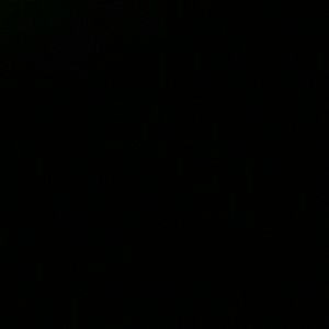 Meet your Posher, Valdovinos