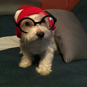 Meet your Posher, Javier