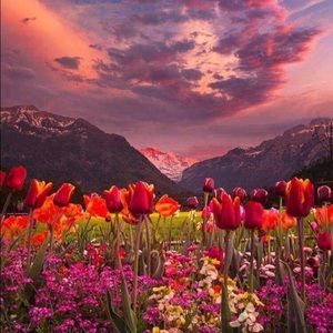 Meet your Posher, Francisca