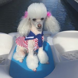 BUNDLE 2 GET 15% OFF!