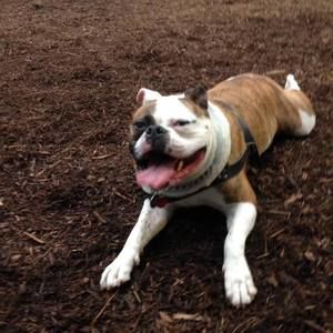 Meet your Posher, Angelo