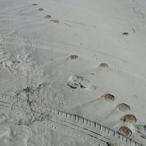 Meet your Posher, Joan