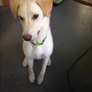 Meet your Posher, Jeanine