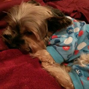 Meet your Posher, Ann