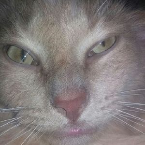 Meet your Posher, Jo