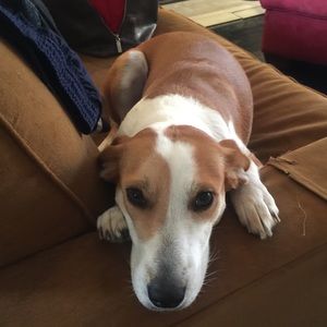 Meet your Posher, Natalie