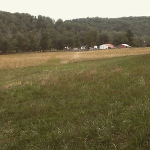 Meet your Posher, Jay