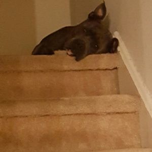 Meet your Posher, Jenn