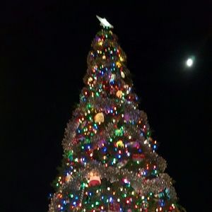 Meet your Posher, Eduardo