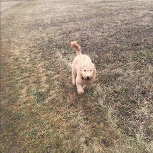 Meet your Posher, Brian