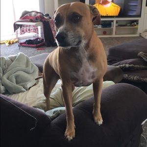 Meet your Posher, Andy