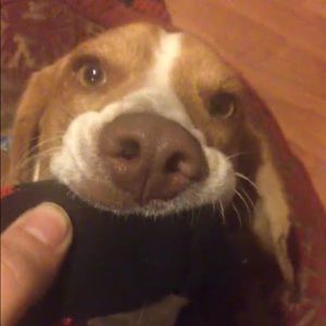 Meet your Posher, Nicholas