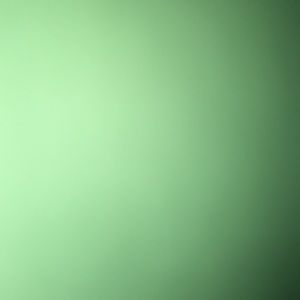 Meet your Posher, Leo