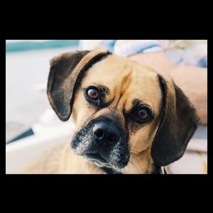 Meet your Posher, Jessica