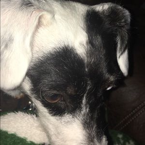 Meet your Posher, Skylar